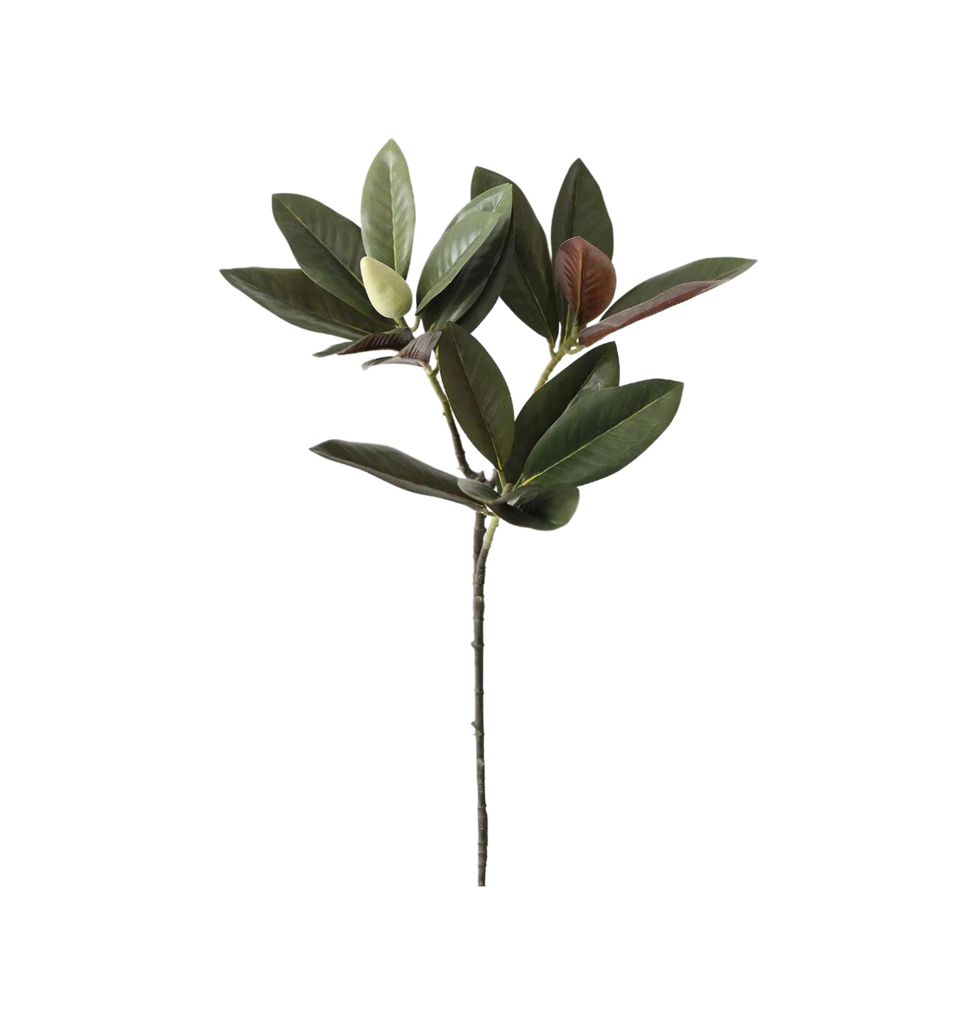 Magnolia Leaf Spray - 34.5&quot;