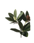 Magnolia Leaf Spray - 34.5"