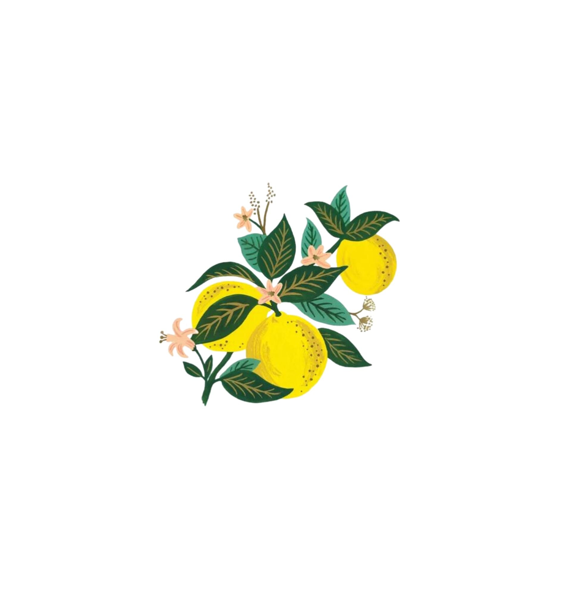 Lemon Blossom Art Print